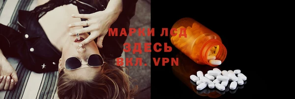 индика Алагир