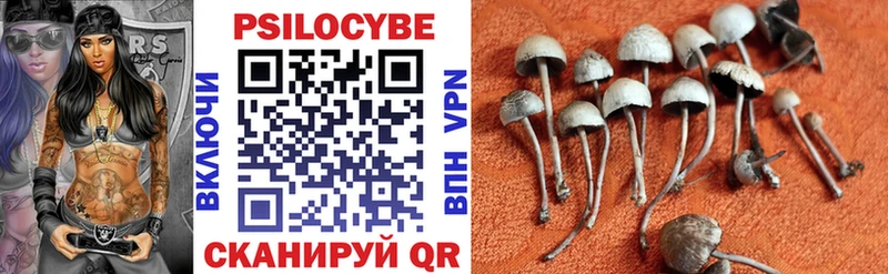 Купить где  Тобольск  Псилоцибиновые грибы Cubensis 